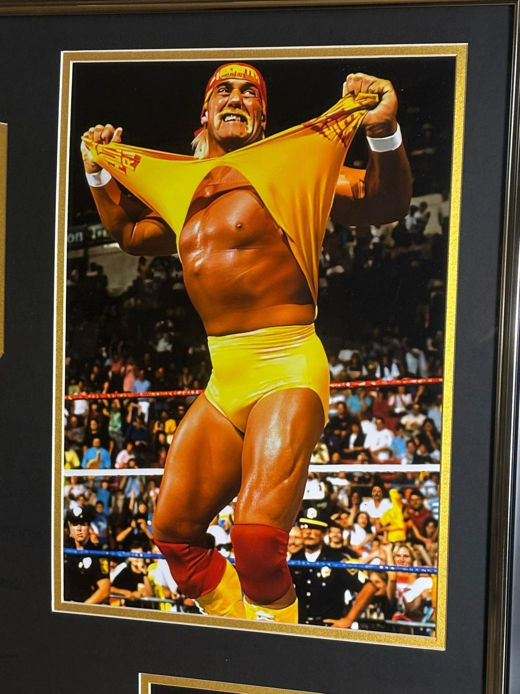 Ingelijste worstelfoto van Hulk Hogan terwijl hij zijn gele shirt openscheurt in de ring.