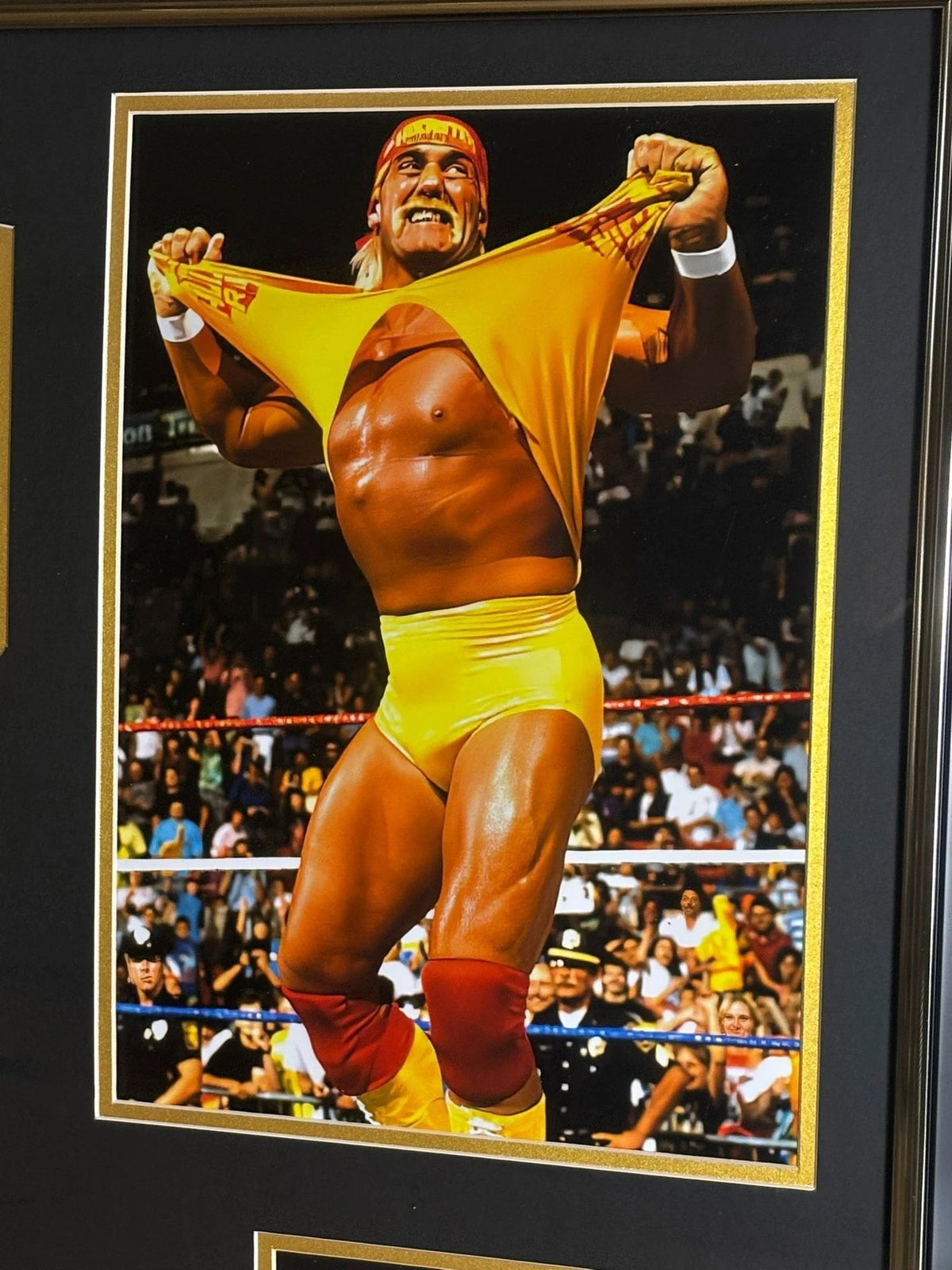 Ingelijste worstelfoto van Hulk Hogan terwijl hij zijn gele shirt openscheurt in de ring.